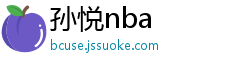 孙悦nba